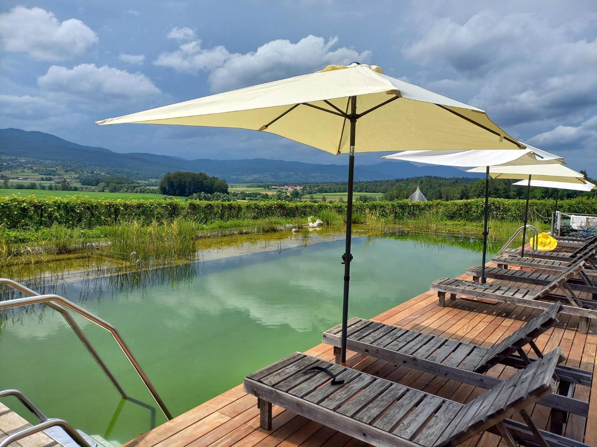 Glamping Maleric With Natural Pool Dragatuš Kültér fotó