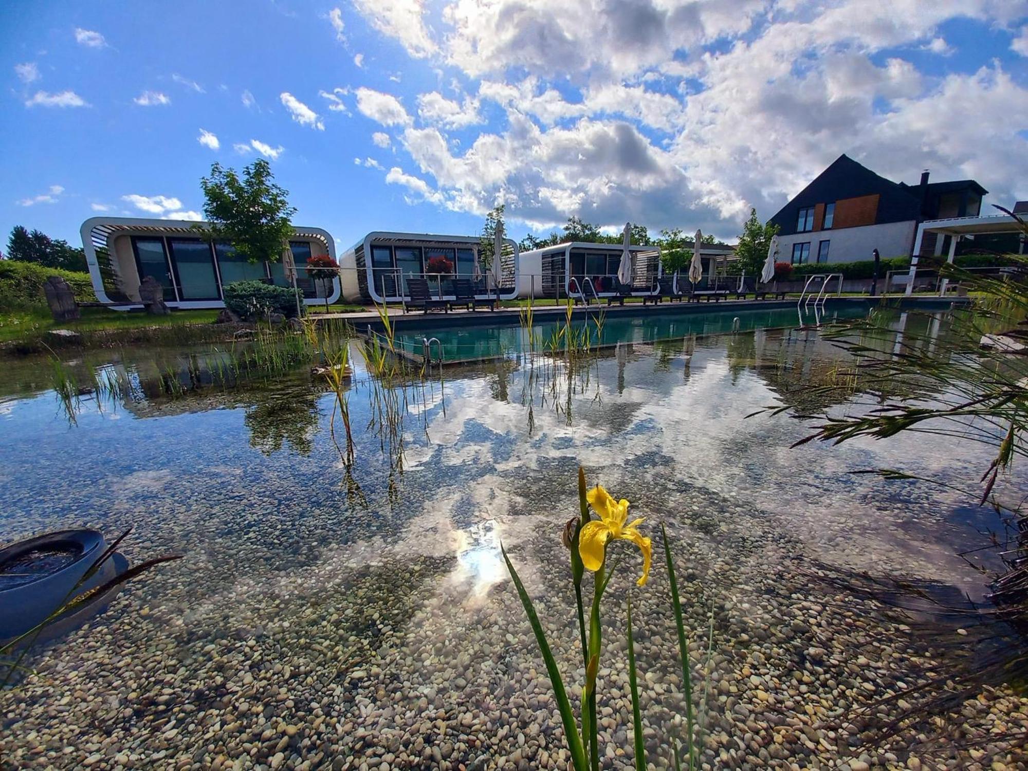 Glamping Maleric With Natural Pool Dragatuš Kültér fotó